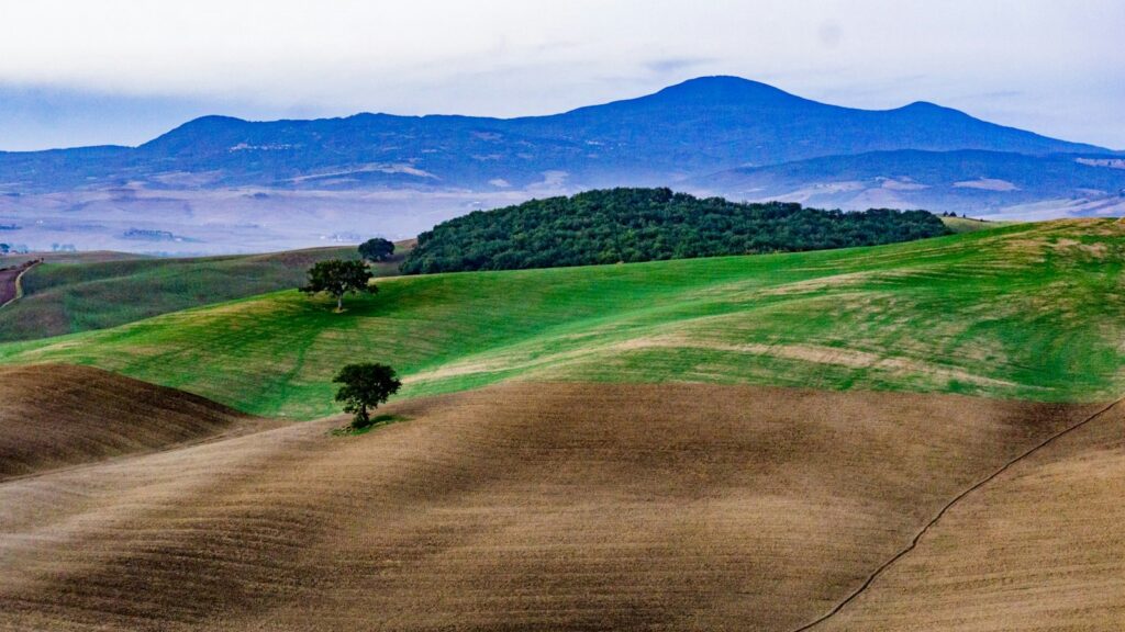 Colline della Val d'Orcia in Toscana con alberi isolati, paesaggio tipico delle zone dove si affittano ville e casali